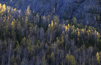 Autumn scenery of Keketuohai national geopark in NW China's Xinjiang