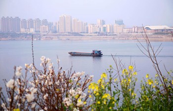 Spring scenery in C China's Hubei