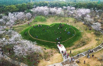 Spring flowers bloom across china