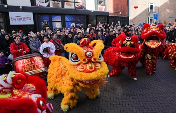 Activities featuring Chinese culture held to celebrate Chinese Lunar New Year in Netherlands