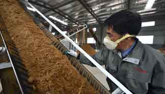 Agricultural and forestry residues manufactured into biofuels in C China