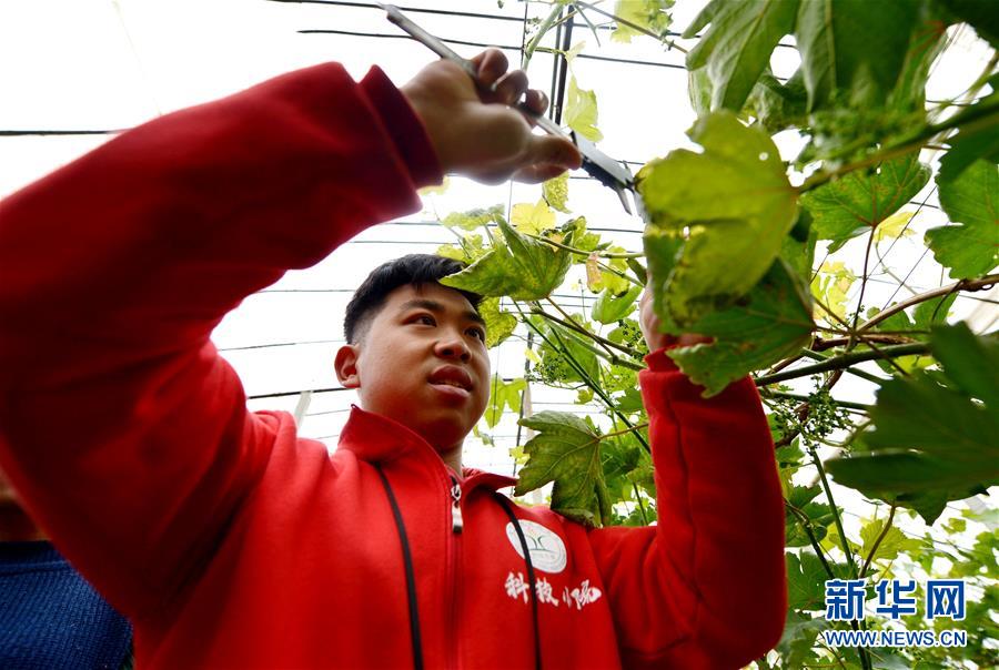 （爱国情 奋斗者·图文互动）（8） “解民生之多艰，育天下之英才”——中国农大师生扎根田野书写奉献之歌