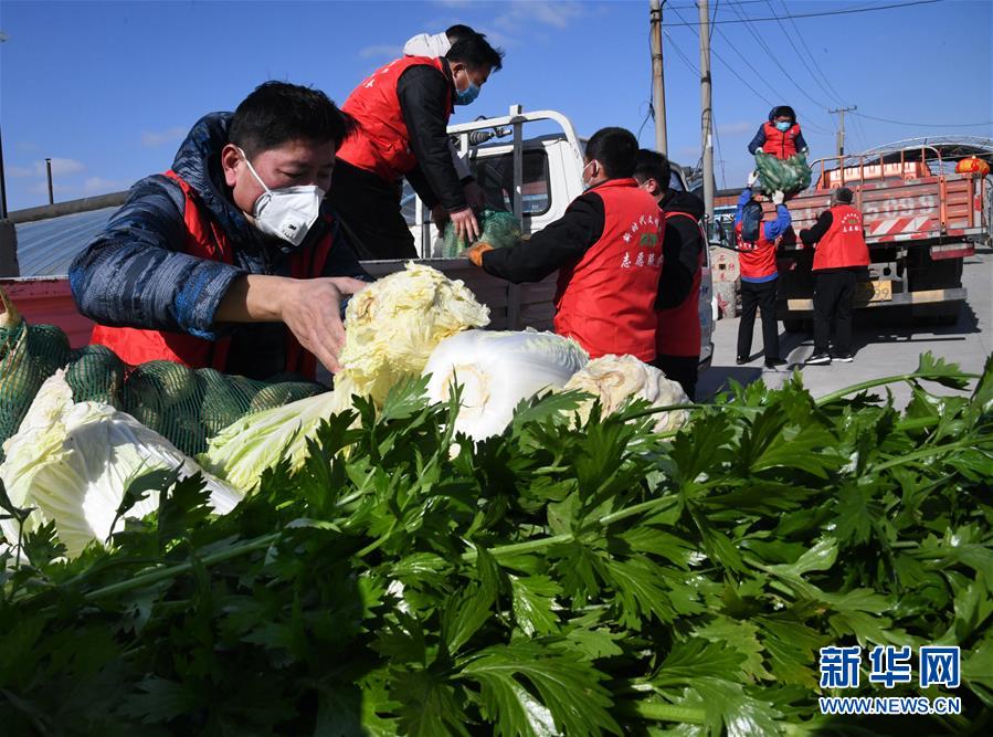 （在习近平新时代中国特色社会主义思想指引下——新时代新作为新篇章·习近平总书记关切事·图文互动）（2）“菜篮子”里的力量——全国各地努力做好保障和改善民生工作在行动