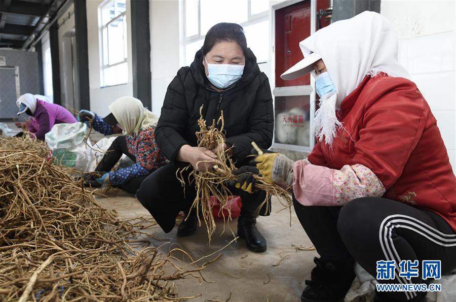 （新华全媒头条·图文互动）（2）特殊时期，他们这样履职——全国人大代表这个春天在行动