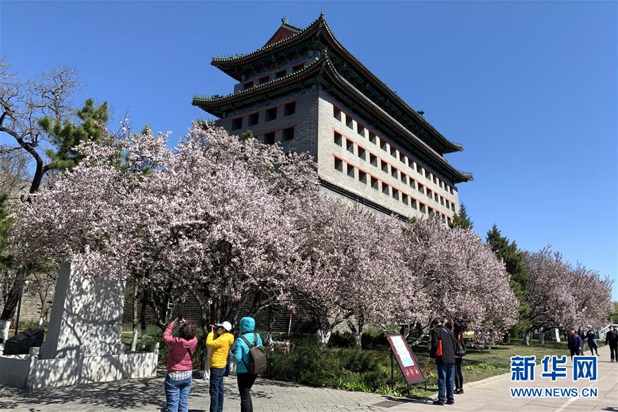 （新华全媒头条·图文互动）（5）永远的梦想 永恒的追求——写在北京世园会开幕一周年之际