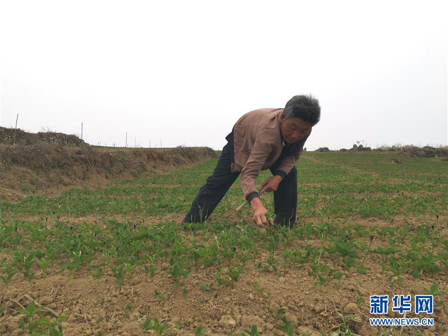 （决战决胜脱贫攻坚·图文互动）（2）唤醒“沉睡的大山”——“经营乡村”让乌蒙山极贫乡变了“模样”