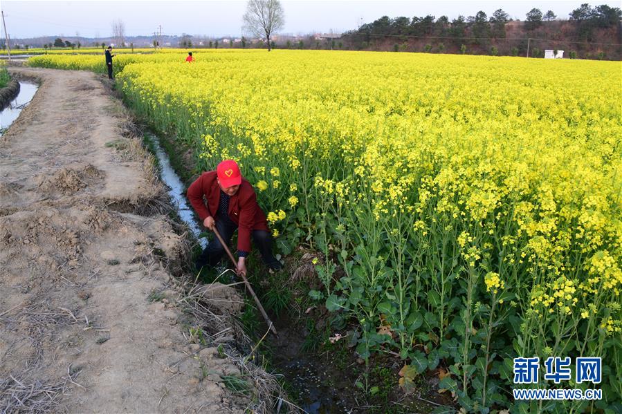 （决战决胜脱贫攻坚·图文互动）（6）贫困户老杨的人生“三级跳”