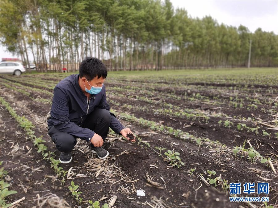 （在习近平新时代中国特色社会主义思想指引下——新时代新作为新篇章·习近平总书记关切事·图文互动）（6）让每一寸耕地都成为丰收的沃土——我国加强耕地?；ね平?ldquo;藏粮于地”