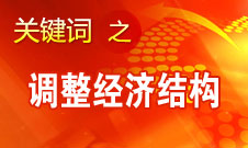 张平：转变经济发展方式最重要的是要调整经济结构