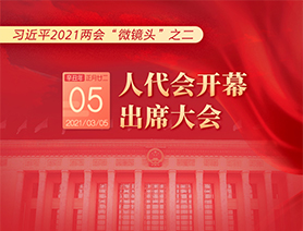 习近平2021两会“微镜头”之二：3月5日 人代会开幕，出席大会