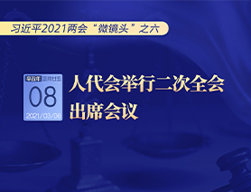 习近平2021两会“微镜头”之六：人代会举行二次全会 出席会议